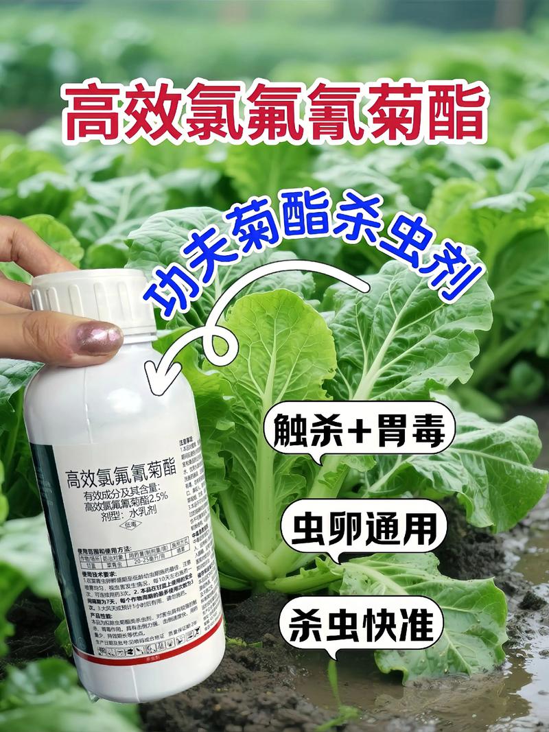 河西代生中心:农药对供卵代生妈妈的危害